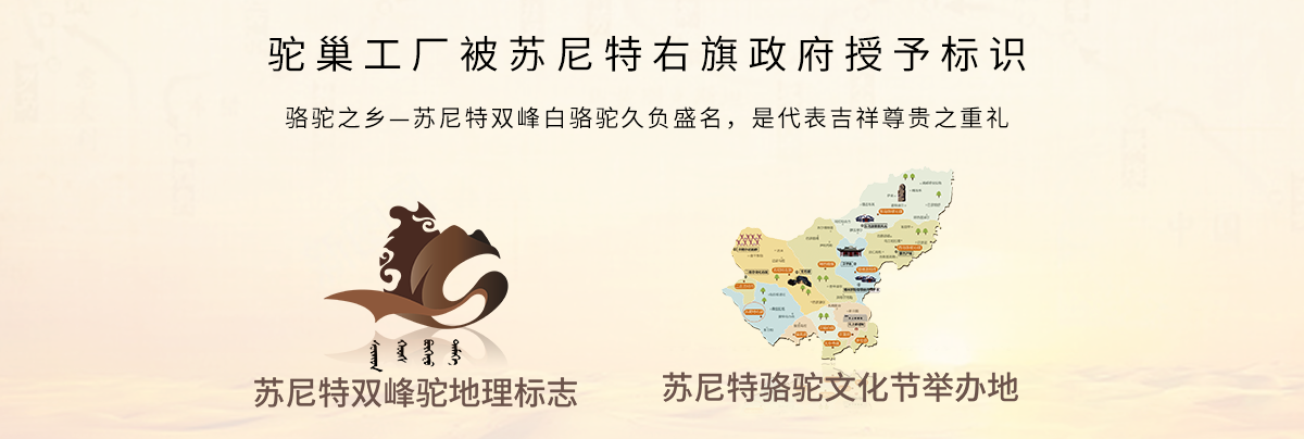 驼巢品牌官方网站是哪个？